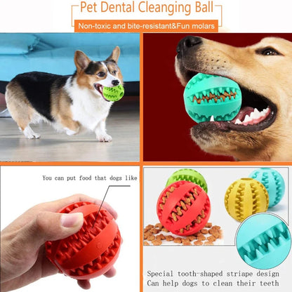 Interactive Rubber Dog and Cat Chew Ball - Dental Cleaning & Treat Dispenser