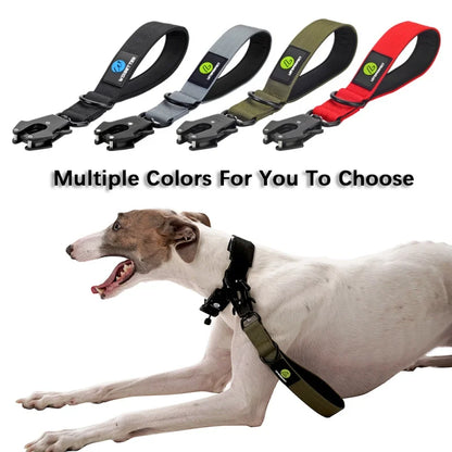 Nylon Military Dog Collar and Traffic Lead with Metal Buckle for Large Dogs