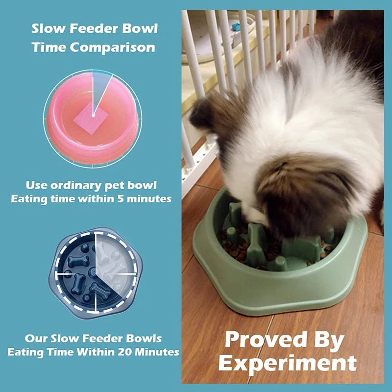 Anti-Choke Pet Slow Feeder Bowl for Small Dogs and Cats | Non-Slip Design | Premium Food Container