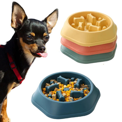 Anti-Choke Pet Slow Feeder Bowl for Small Dogs and Cats | Non-Slip Design | Premium Food Container