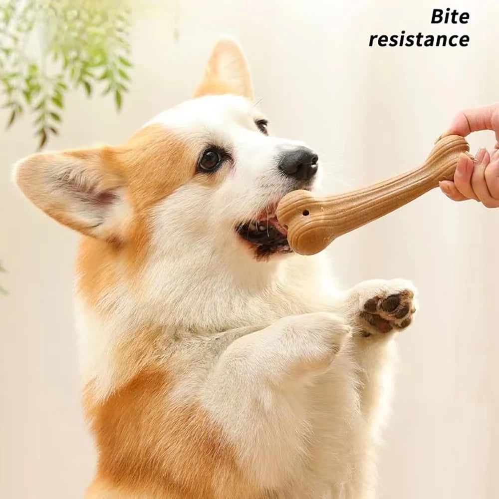 Durable & Engaging Dog Chew Toy: Bite-Resistant Molar Cleaning Stick with Cute Bone Shape