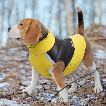 Cozy Padded Dog Jacket: Waterproof Winter Vest with Zipper for Small to Large Dogs