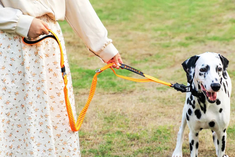 Reflective Tactical Bungee Dog Leash with Car Seatbelt for Large Dogs