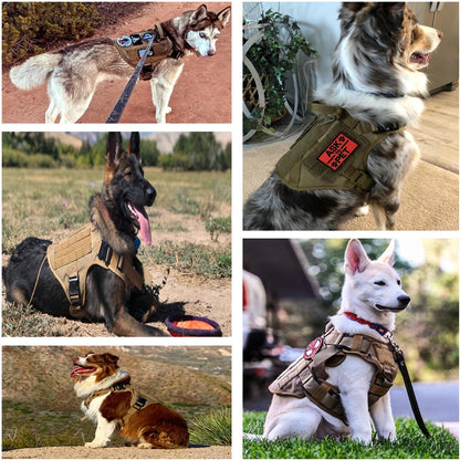 Tactical Elite Canine Harness Set: Ultimate Control for Your Courageous Companion