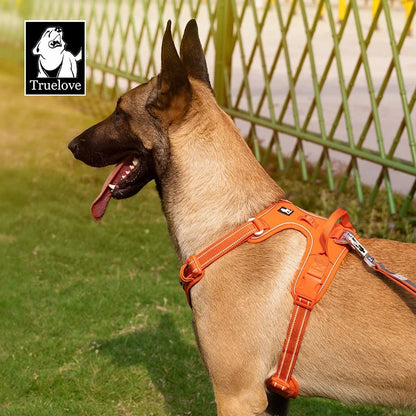 Effortless Control No-Pull Reflective Dog Harness - Adjustable & Comfortably Padded Nylon Design