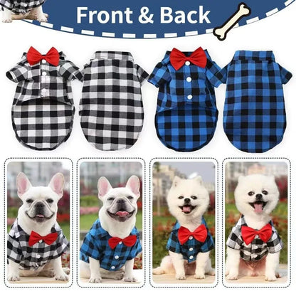 Pet Wedding Attire: Elegant Shirt Suit for Birthday Parties and Seasonal Wear (Spring, Summer, Fall)