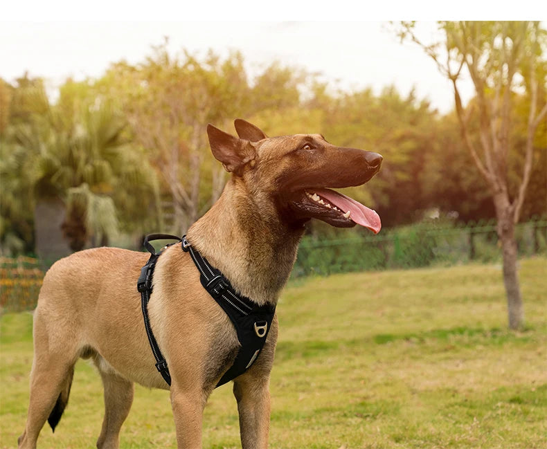 Effortless Control No-Pull Reflective Dog Harness - Adjustable & Comfortably Padded Nylon Design