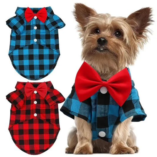 Pet Wedding Attire: Elegant Shirt Suit for Birthday Parties and Seasonal Wear (Spring, Summer, Fall)