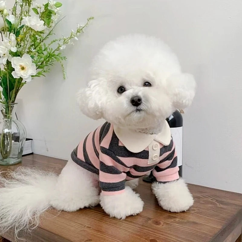 Striped Summer Polo for Small & Medium Dogs and Cats: Chihuahua & Bichon Frise Apparel