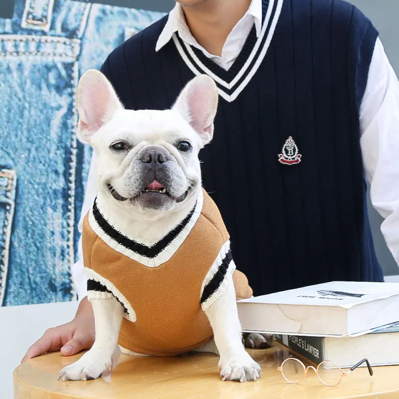 Cozy College-Style Sweater: Warm Dog and Cat Clothes for Small & Medium Breeds - Perfect for Chihuahuas, French Bulldogs, Yorkies, and More! 🐾