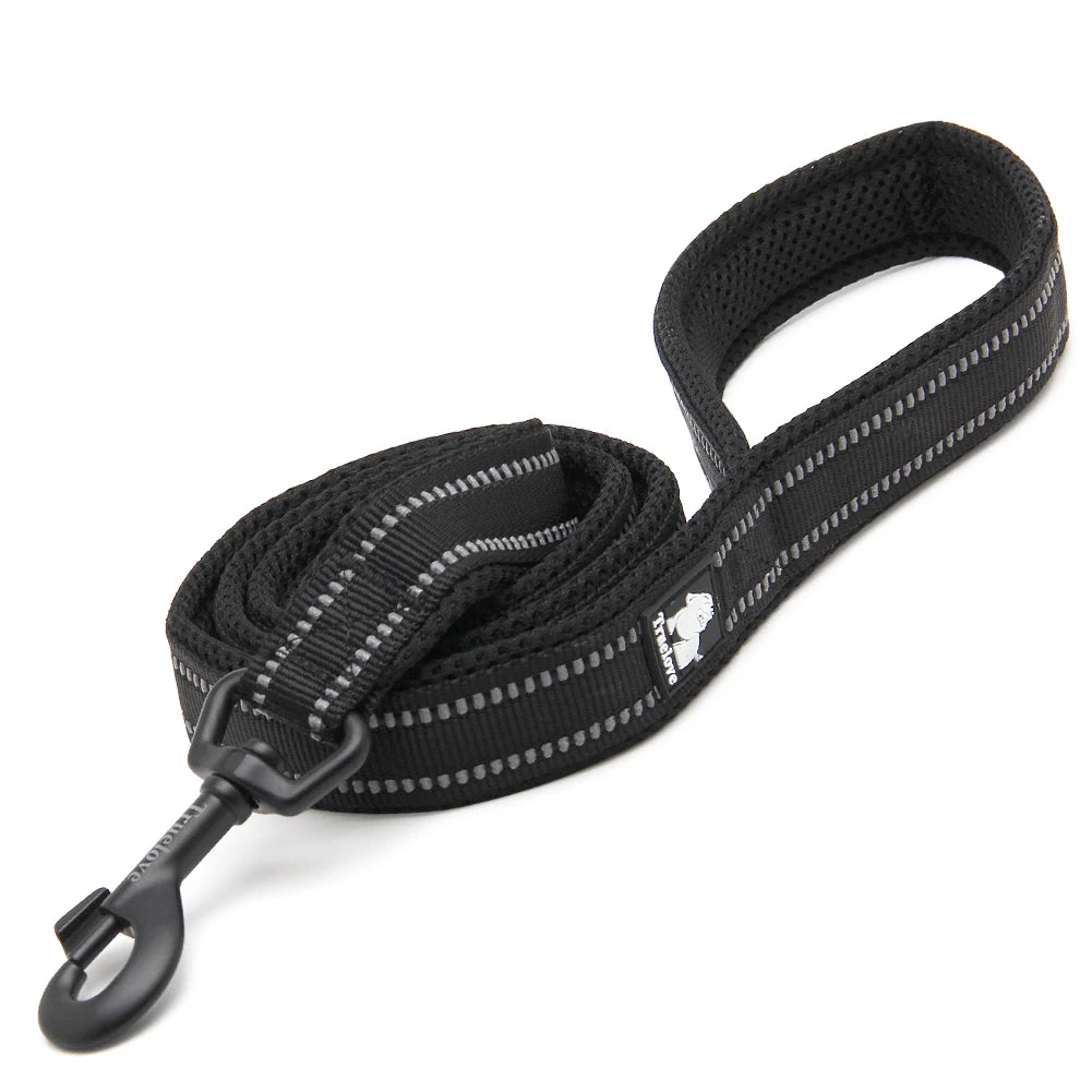 The Ultimate Truelove Pet Leash 200CM