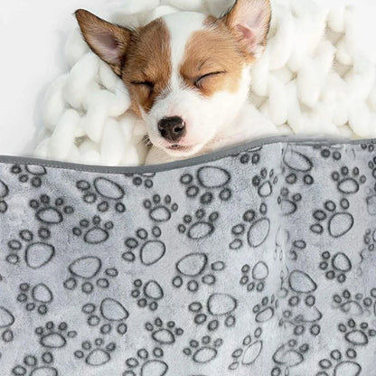 Soft & Fluffy Cartoon Pet Blanket - Warm, Comfortable Mat for Cats and Dogs